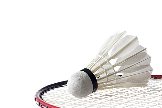 竞技魅力和 竞技魅力和