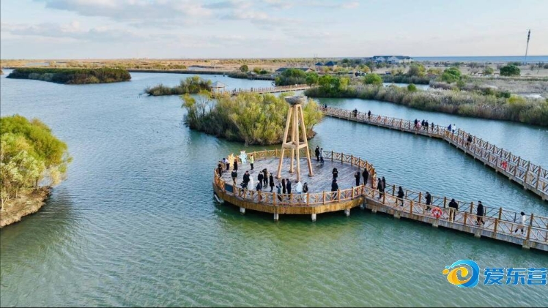 引起了广泛 引起了广泛